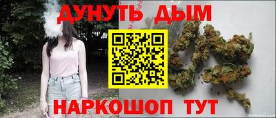 сатива Тверь