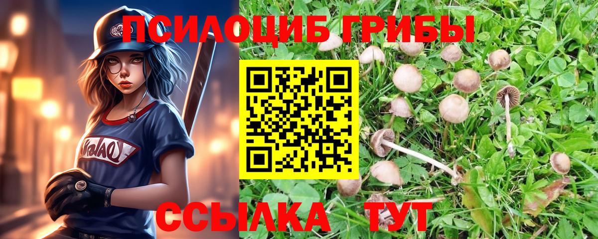 Псилоцибиновые грибы мухоморы  Галлюциногенные грибы мухоморы  Вход с VPN  Томск 