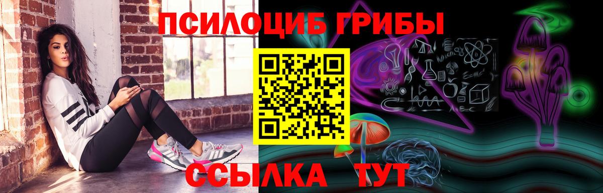 Галлюциногенные грибы мицелий Томск